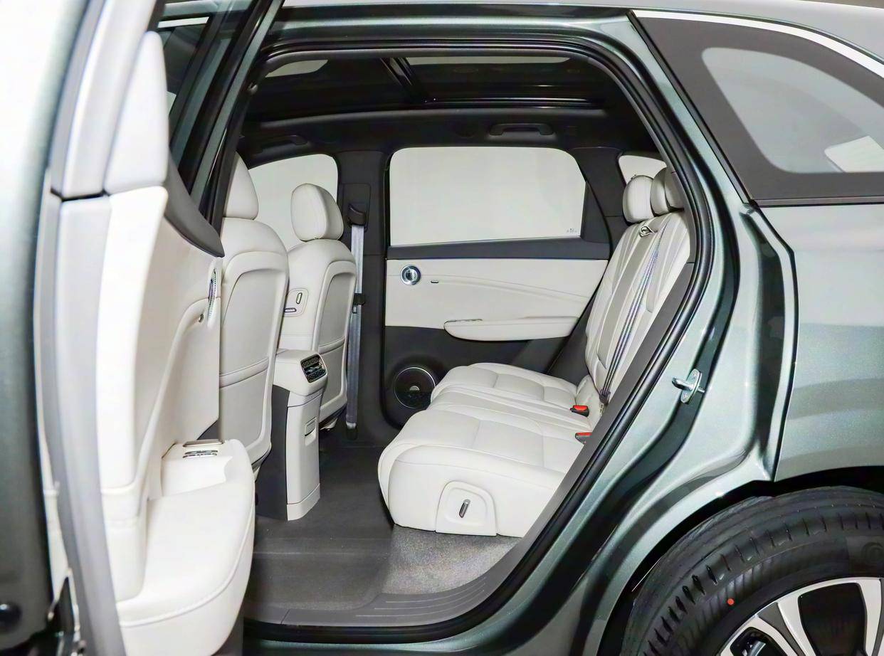 國產豪華插混SUV,軸距2925mm,配丹拿音響+車載冰箱,續航1650km